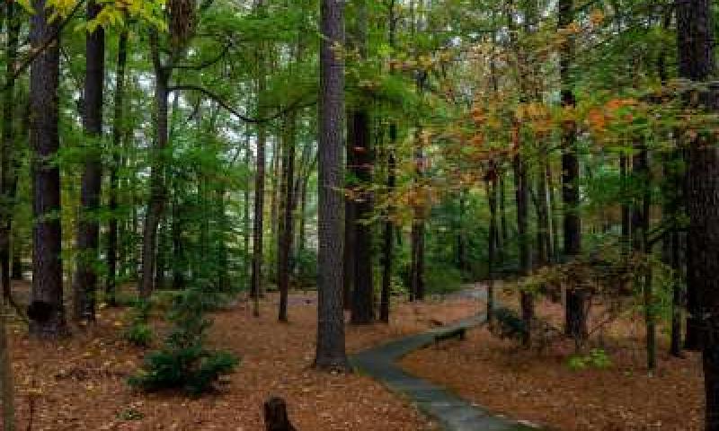 South Arkansas Arboretum