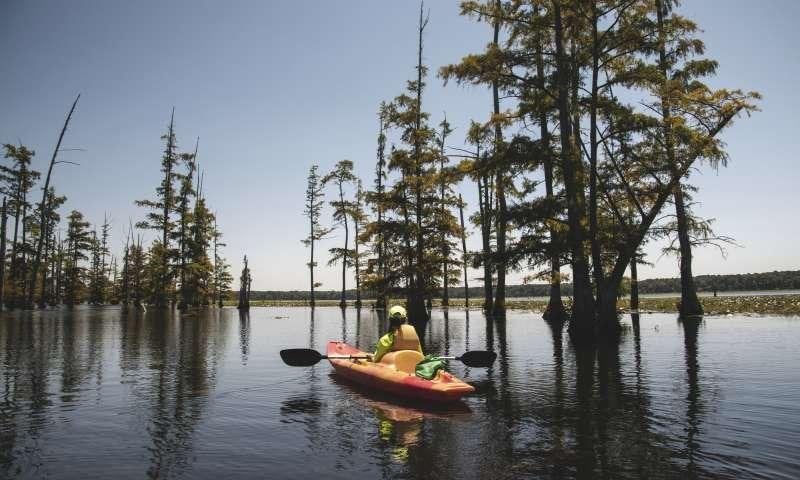 Cane Creek State Park               