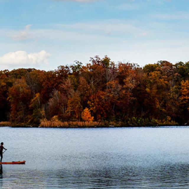 Paddle boarding on the lake in the fall
